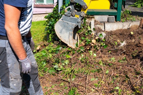 Hedge Removal Service in Lehi