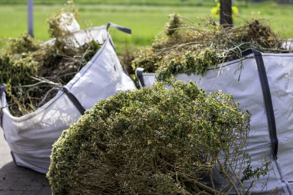 Shrubs Removal in Lehi