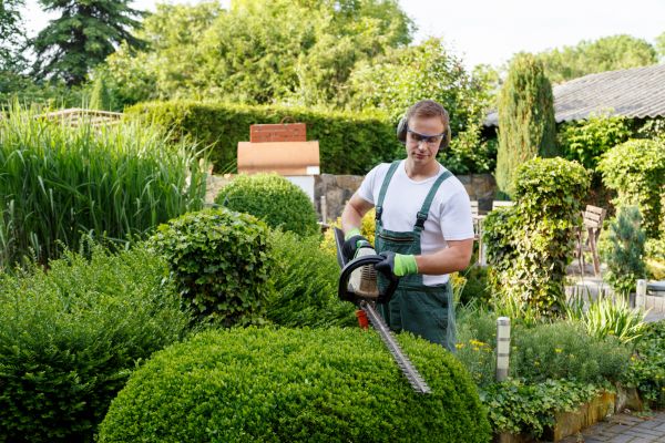 Shrubs Trimming in Lehi
