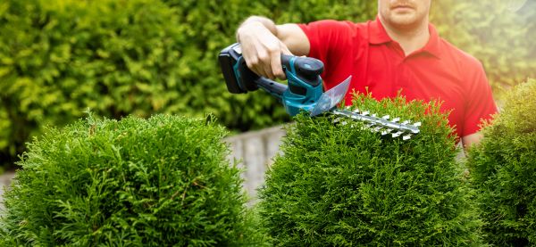Hedge Shaping Service in Lehi