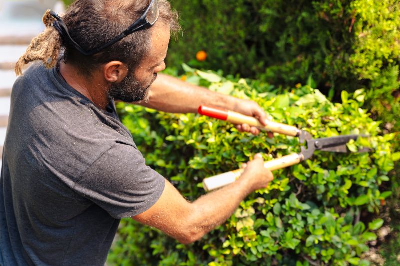 Seasonal Shrub Care